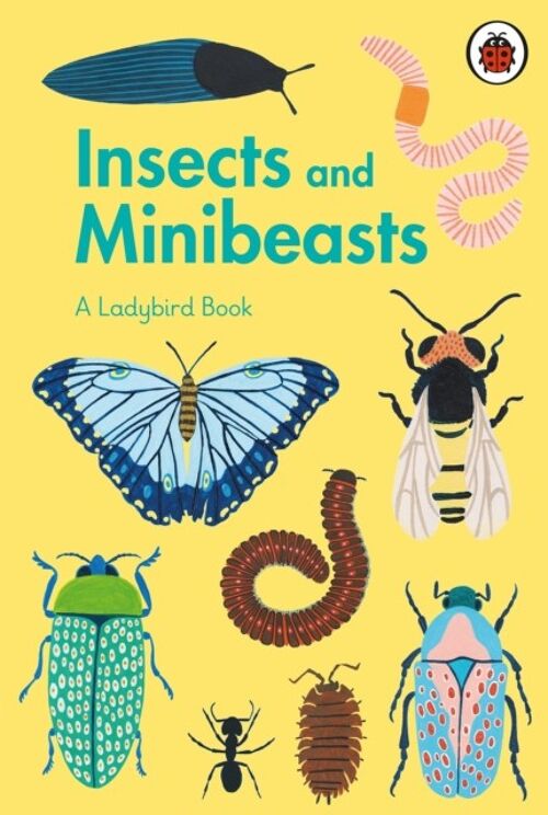 A Ladybird Book Insects and Minibeasts by Illustrated by Amber Davenport
