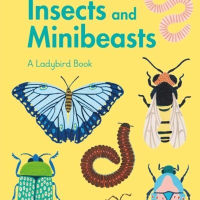 A Ladybird Book Insects and Minibeasts by Illustrated by Amber Davenport