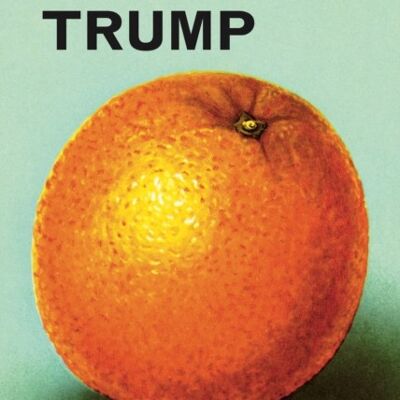 A Ladybird Book About Donald Trump by Jason HazeleyJoel Morris