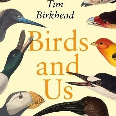 Birds and Us by Tim Birkhead