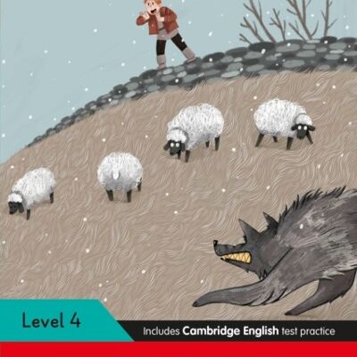 Ladybird Readers Level 4  The Boy Who S by Ladybird