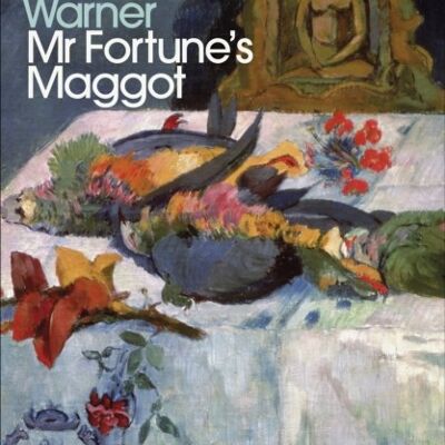 Mr Fortunes Maggot by Sylvia Townsend Warner