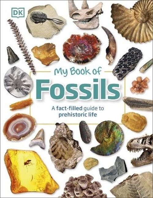 My Book Of Fossils by Dean R. Lomax