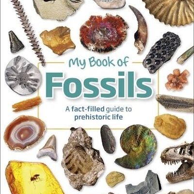 My Book Of Fossils by Dean R. Lomax