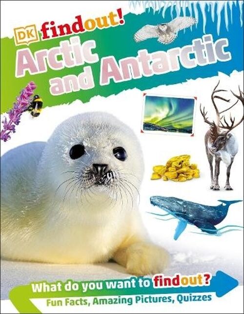 Dkfindout Arctic And Antarctic by DK
