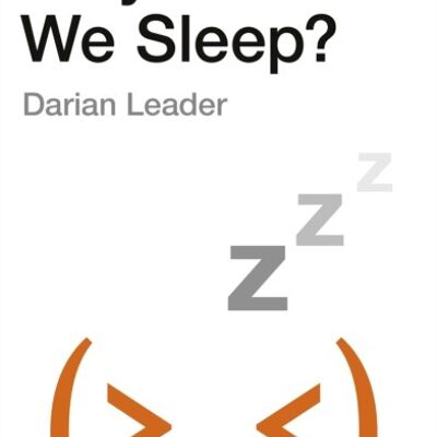 Why Cant We Sleep by Darian Leader