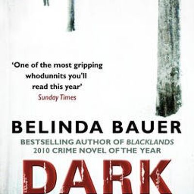 Darkside by Belinda Bauer