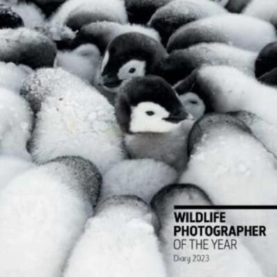 Wildlife Photographer of the Year Pocket Diary 2023 by The Natural History Museum