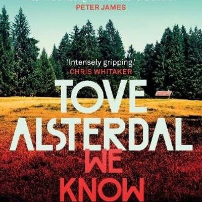 We Know You Remember by Tove Alsterdal