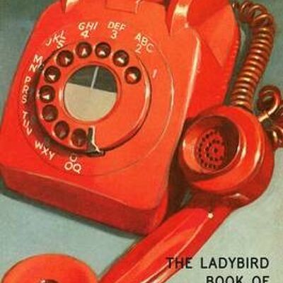 The Ladybird Book of Red Tape by Jason HazeleyJoel Morris