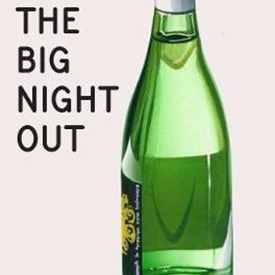 The Ladybird Book of The Big Night Out by Jason HazeleyJoel Morris