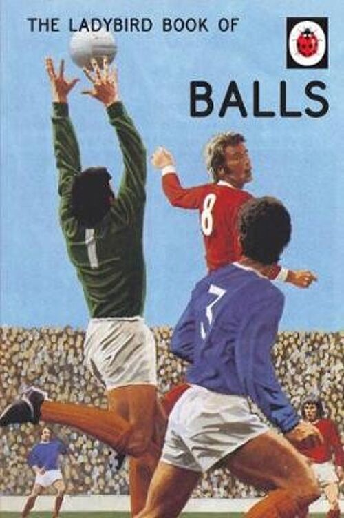 The Ladybird Book of Balls by Jason HazeleyJoel Morris