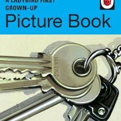 A Ladybird First GrownUp Picture Book by Jason HazeleyJoel Morris