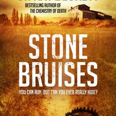 Stone Bruises by Simon Beckett