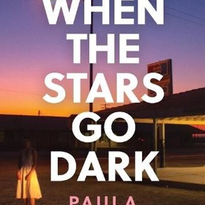 When the Stars Go Dark by Paula McLain