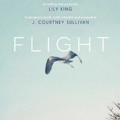 Flight by Lynn Steger Strong