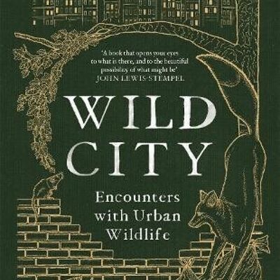 Wild City by Florence Wilkinson