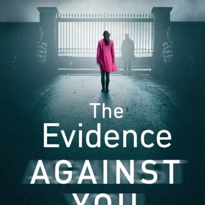 The Evidence Against You by Gillian McAllister