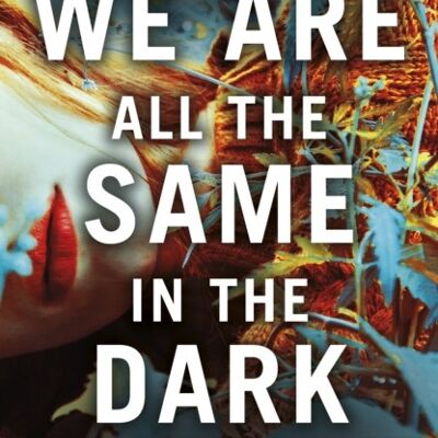 We Are All the Same in the Dark by Julia Heaberlin