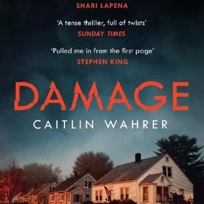 Damage by Caitlin Wahrer