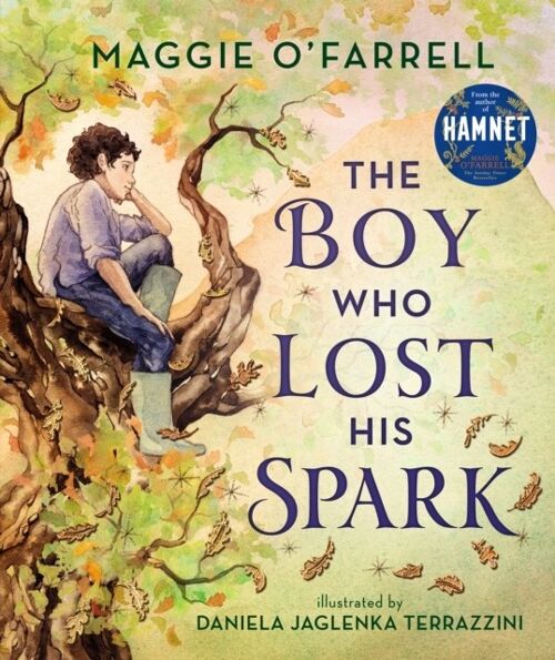 The Boy Who Lost His Spark by Maggie OFarrell