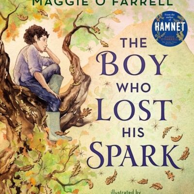 The Boy Who Lost His Spark by Maggie OFarrell