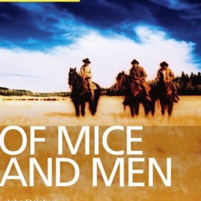 Of Mice and Men York Notes for GCSE Grades A by Martin Stephen