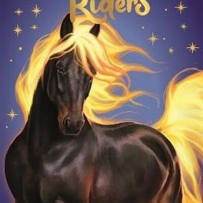 Moonlight Riders Fire Horse by Linda Chapman