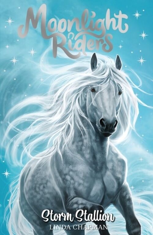 Moonlight Riders Storm Stallion by Linda Chapman