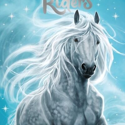 Moonlight Riders Storm Stallion by Linda Chapman