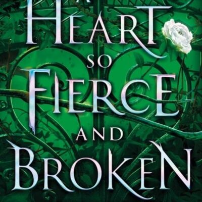 A Heart So Fierce and Broken by Brigid Kemmerer