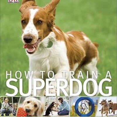 How To Train A Superdog by Gwen Bailey