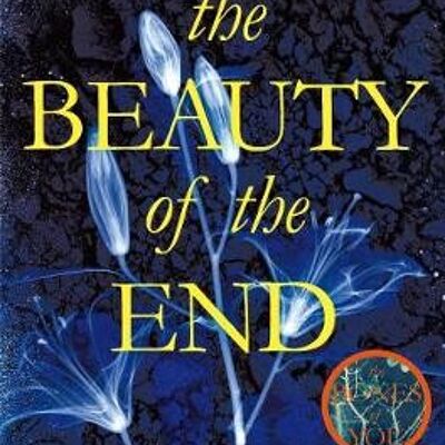 The Beauty of the End by Debbie Howells