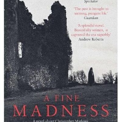 A Fine Madness by Alan Judd