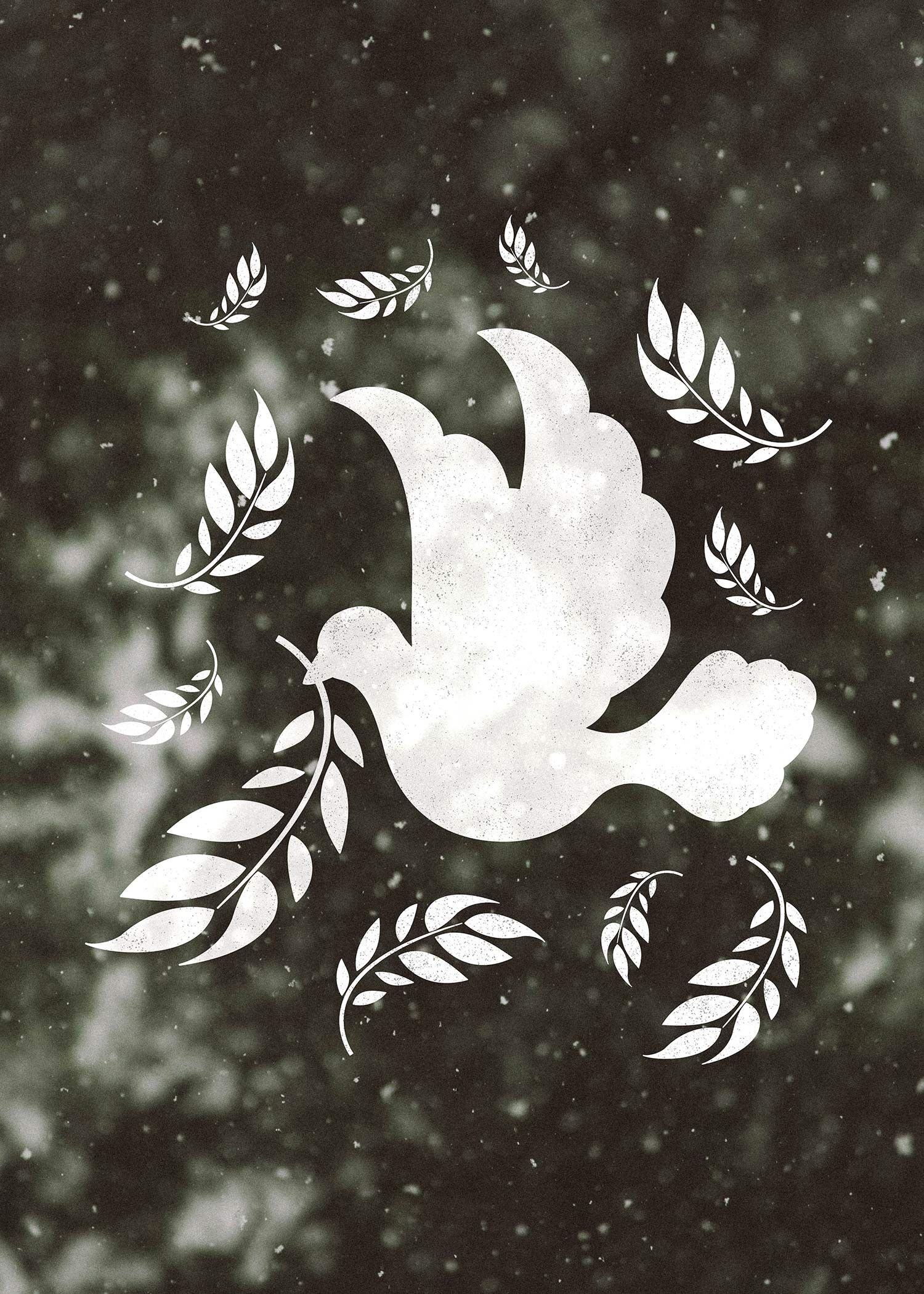 White Peace Dove Christmas Print - 50x70 - Matte