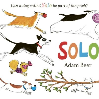 Solo by Adam Beer