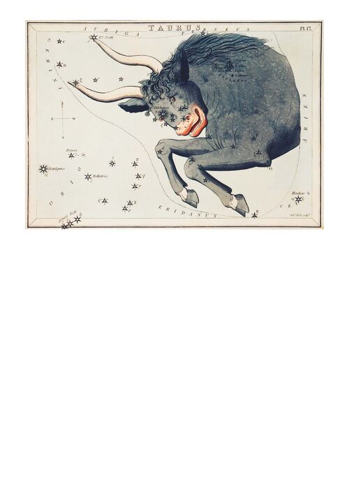 Taurus Astrology Space Vintage Antique Print - 50x70 - Matte