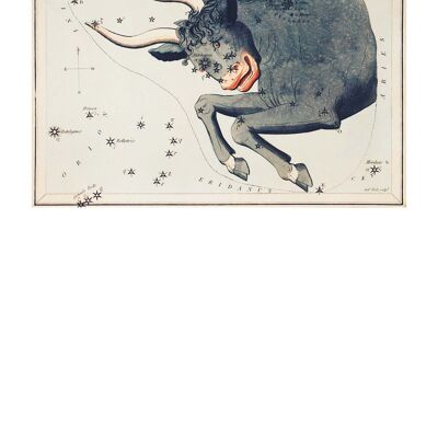 Toro Astrologia spazio vintage antica stampa - 50 x 70 - Matte