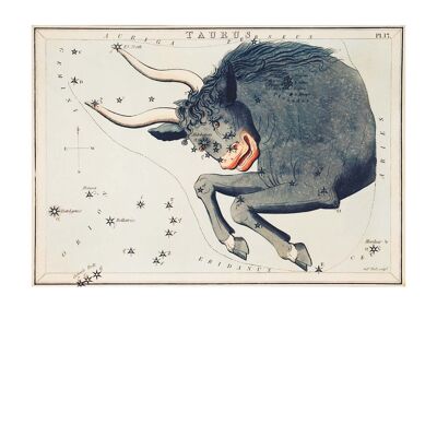 Tauro astrología espacio Vintage antiguo grabado - 50 x 70 - mate
