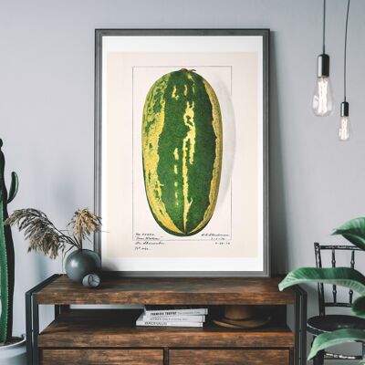 Watermelon Antique Vintage Fruit Print - 50x70cm - 230gsm Mattes Papier