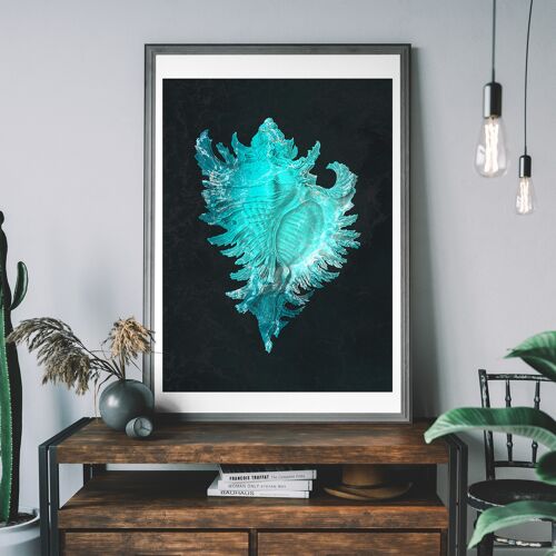 Large Conch Sea Shell Blue Antique Print - 50x70cm - 230gsm Matte Paper