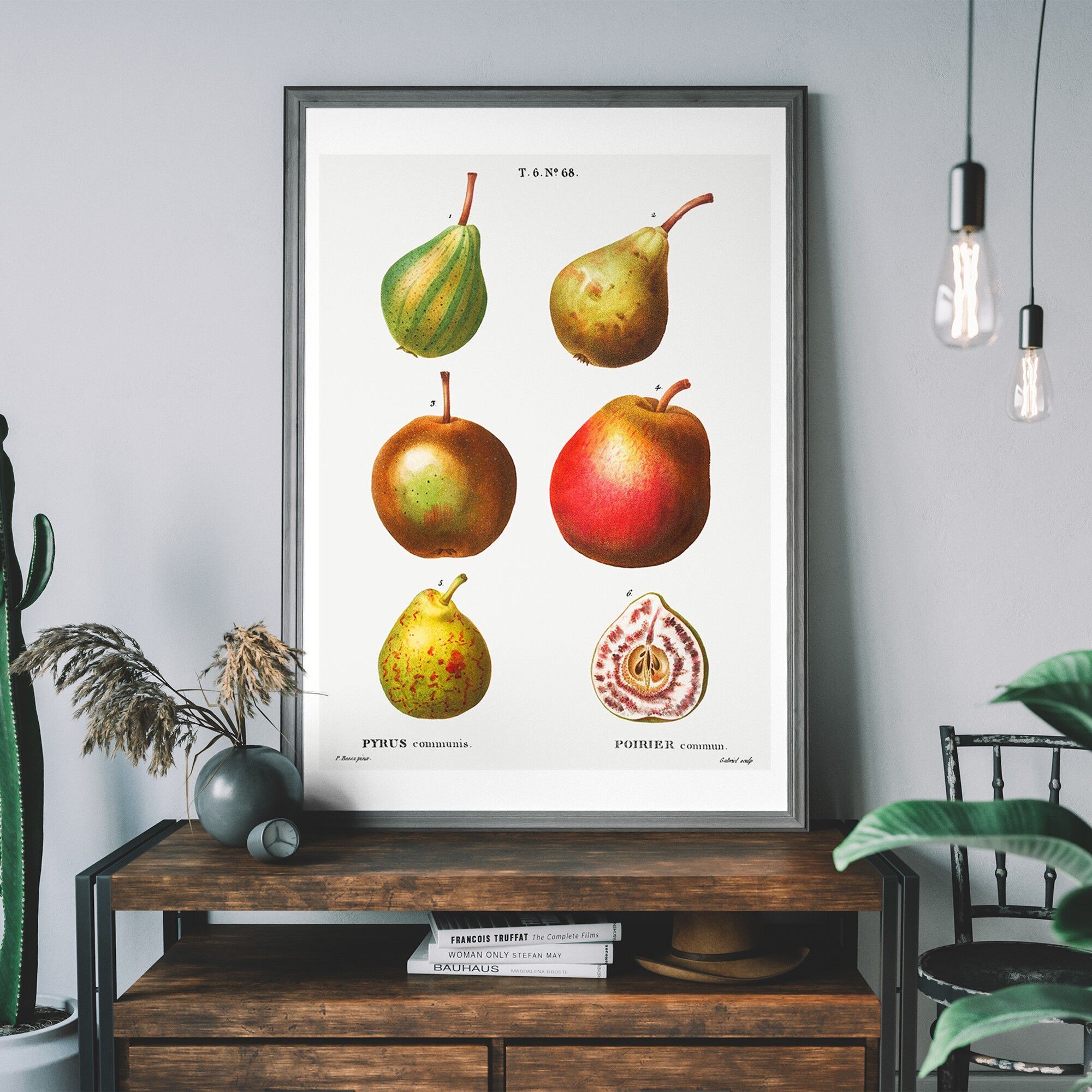 Mixed Pears Vintage Antique Print - 50x70cm - 230gsm Matte Paper