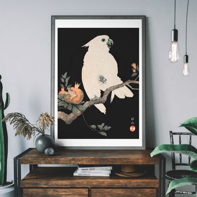 Impresión japonesa antigua de loro cacatúa - 50x70 cm - Papel mate de 230 g / m2