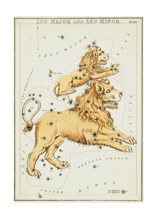 Leo Major And Leo Minor Astrology Antique Print - 50x70 - Matte