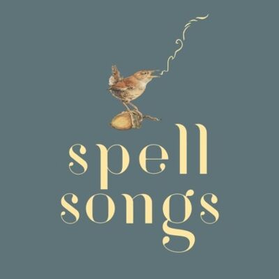 The Lost Words Spell Songs by Robert MacfarlaneJackie MorrisKarine PolwartJulie FowlisSeckou KeitaKris DreverKerry AndrewBeth PorterRachel NewtonJim Molyneux