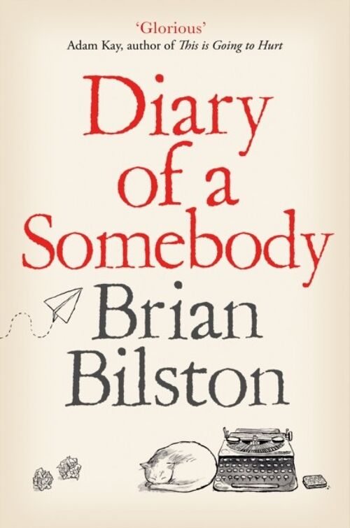 Diary of a Somebody by Brian Bilston