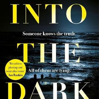 Into the Dark by Fiona Cummins