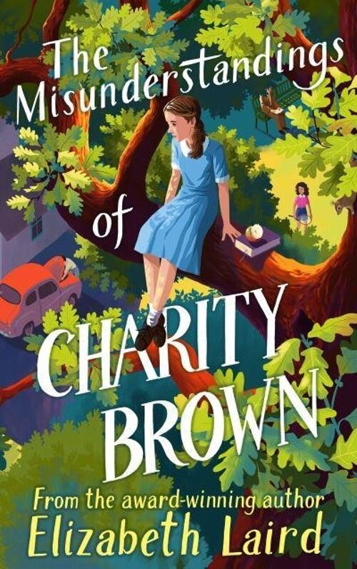 The Misunderstandings of Charity Brown by Elizabeth Laird