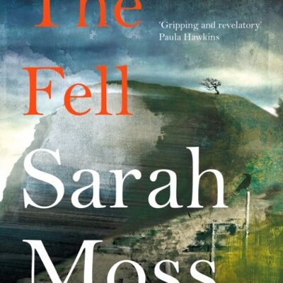 The Fell by Sarah Moss