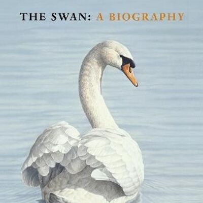 The Swan by Stephen Moss